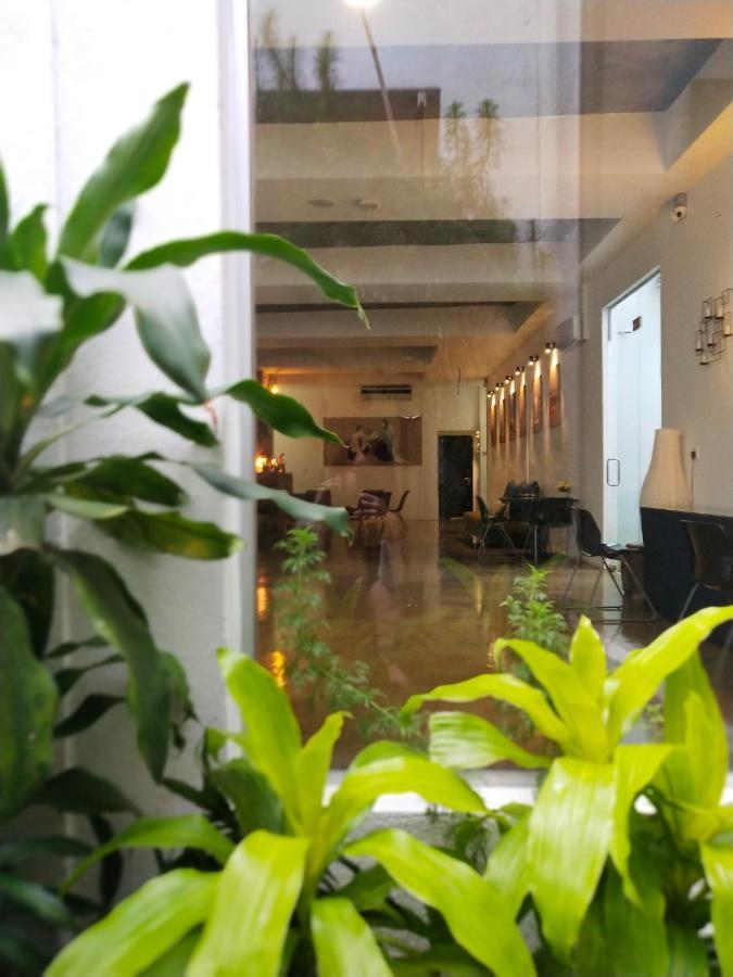 Beds In Garden Hostel Ίπο Εξωτερικό φωτογραφία